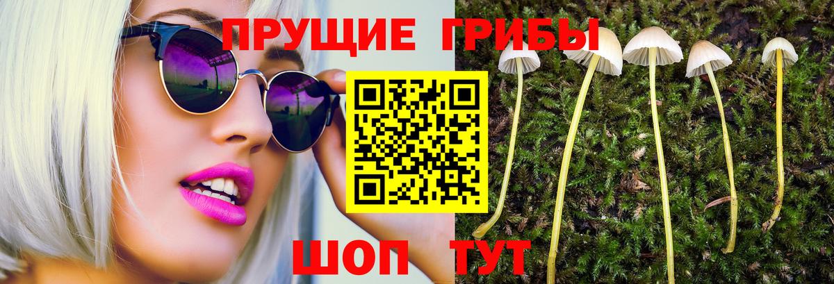 Галлюциногенные грибы Psilocybe  Вход с VPN  Дзержинск 